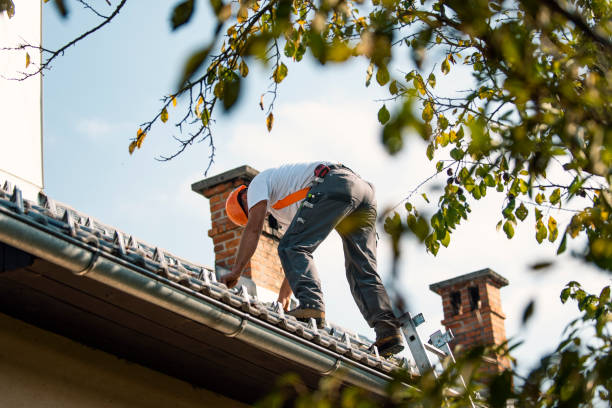 Professional Roofing Contractor in Langley, WA