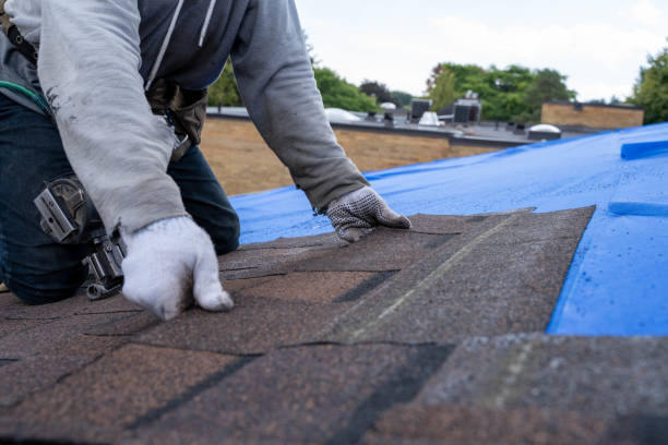 Sealant for Roof in Langley, WA